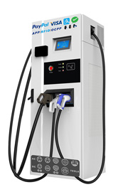 Multi standard fast charger